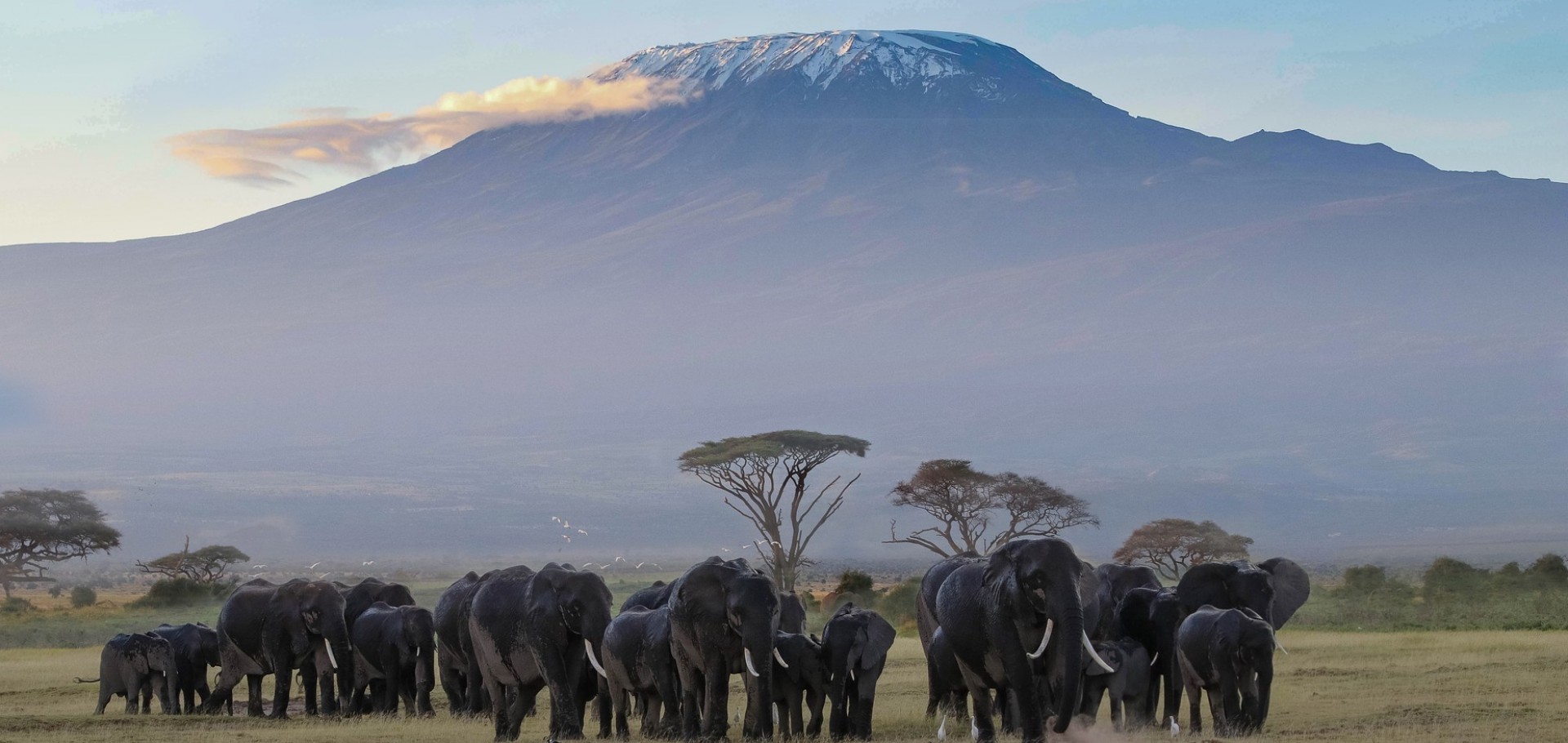 Arusha, Ngorongoro, Tarangire, Amboseli, Naivasha, Maasai Mara & Nairóbi