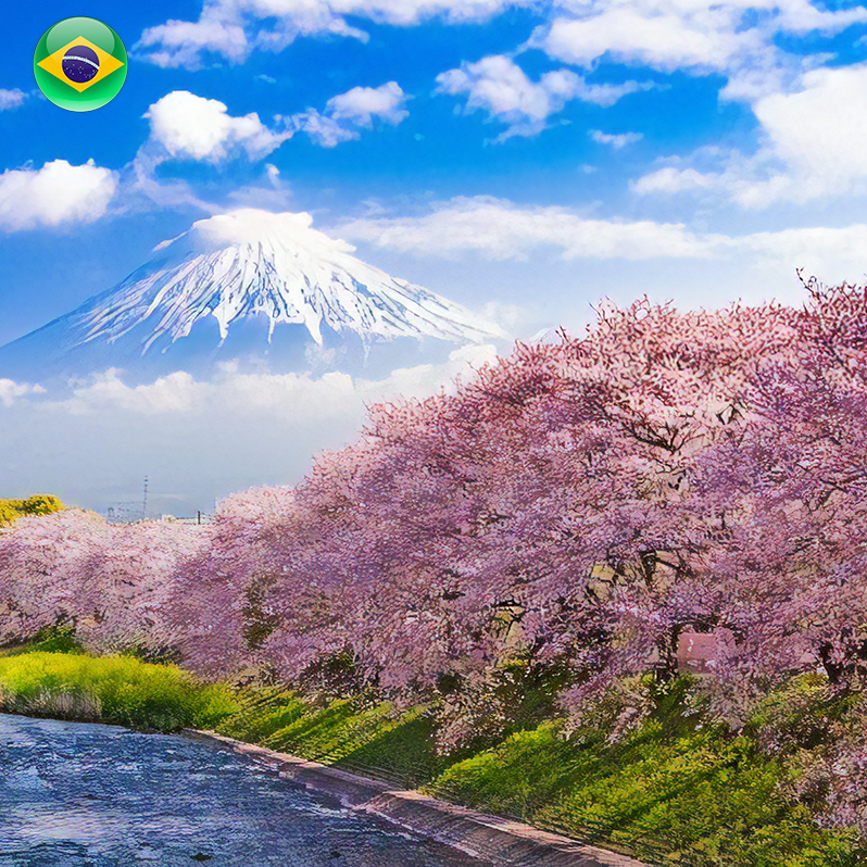 Japão Cerejeiras Japão Cerejeiras