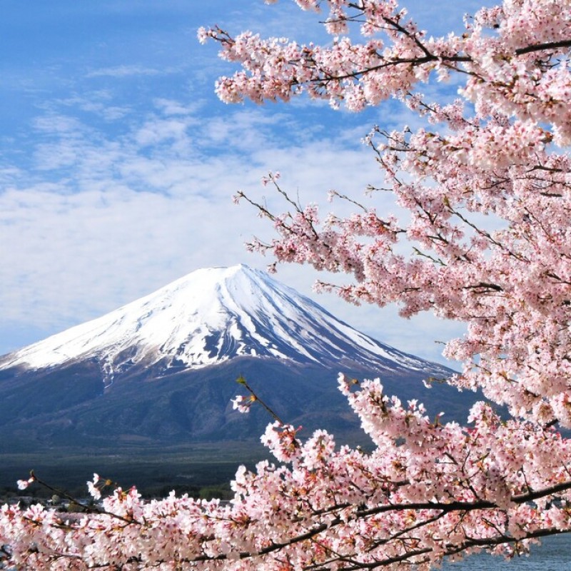 Osaka, Kyoto, Gifu ou Gero, Kanazawa & Tokyo