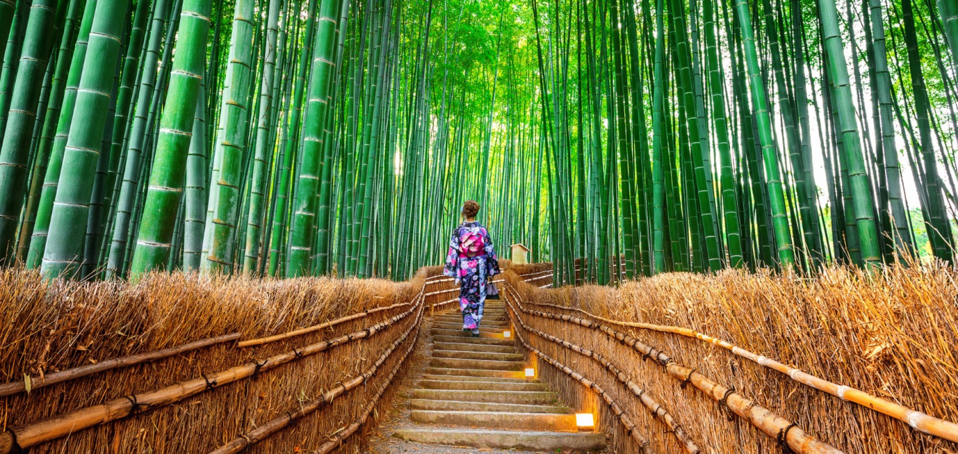 Seul, Tokyo, Kyoto, Kanazawa, Gero, Osaka & Tokyo