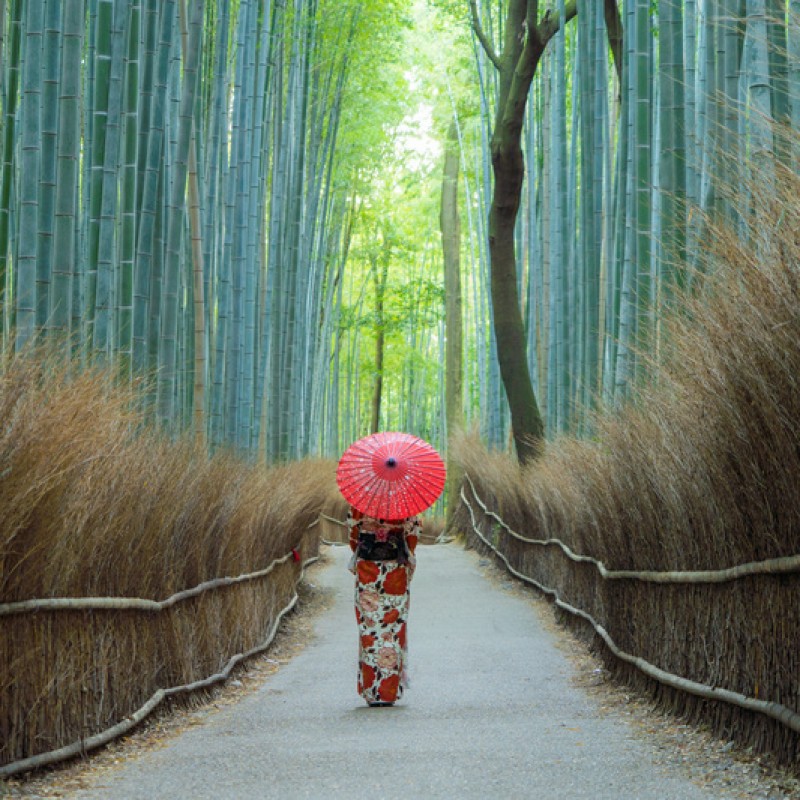 Tokyo, Hakone, Nara & Kyoto