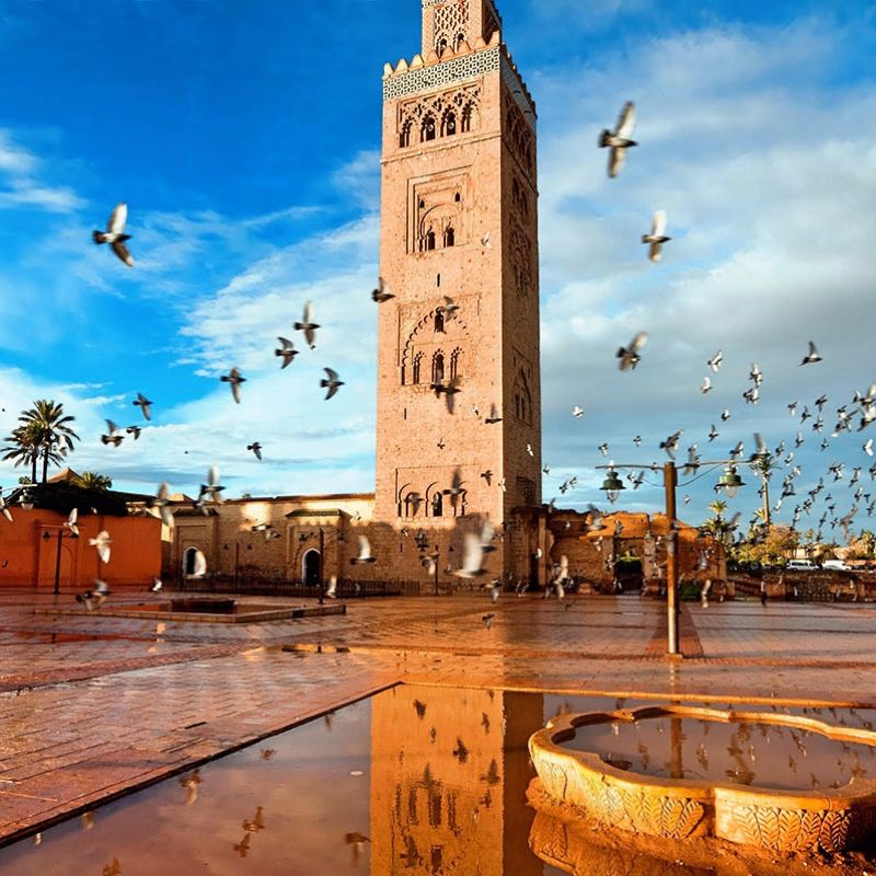Casablanca, Meknes, Fés, Rabat, Marrakech, Ouarzazate, Zagora, Nokob, Tazzarine, Erfoud & Tinghir