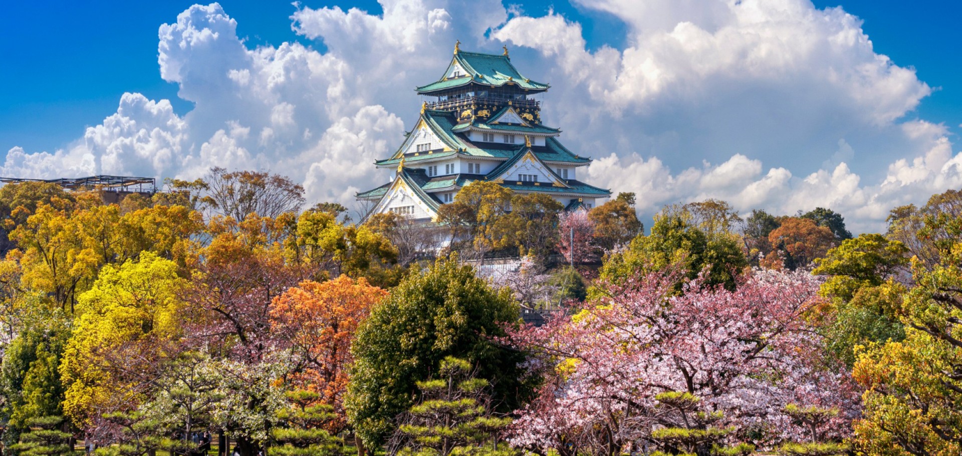 Tokyo, Kyoto, Kanazawa, Gero, Nagoya, Toba, Nachi-Katsuura & Osaka