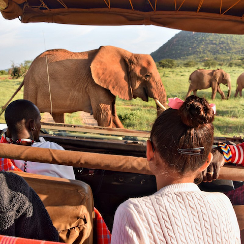 Johannesburg, Kruger Park, Sun City & Cape Town Johannesburg, Kruger Park, Sun City & Cape Town